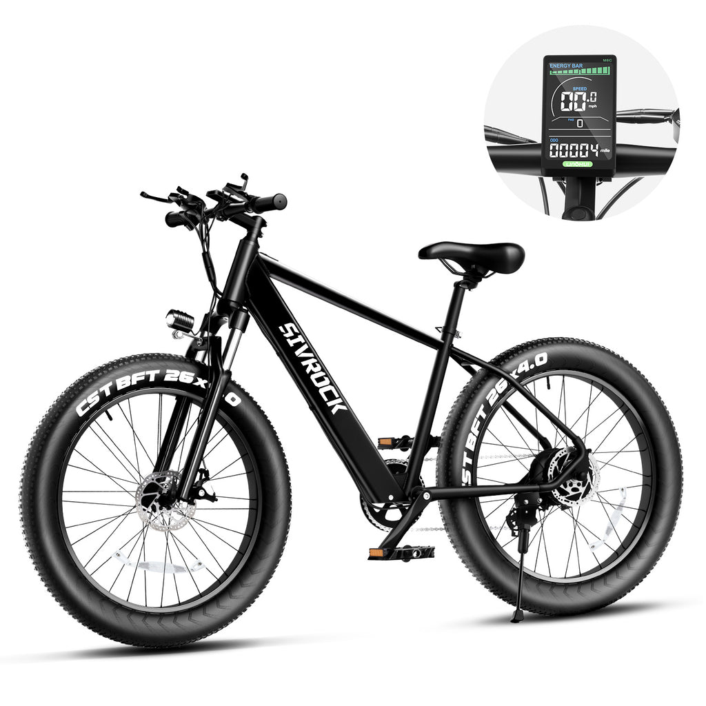 Professional Electric Bike BapMagic