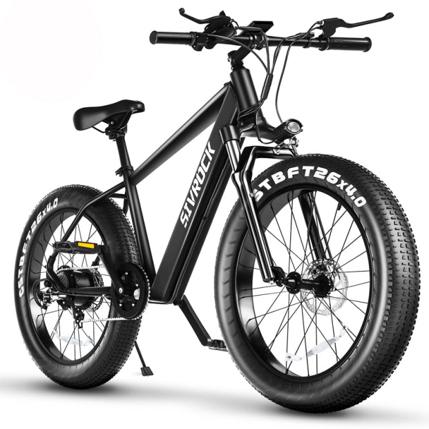 Professional Electric Bike BapMagic