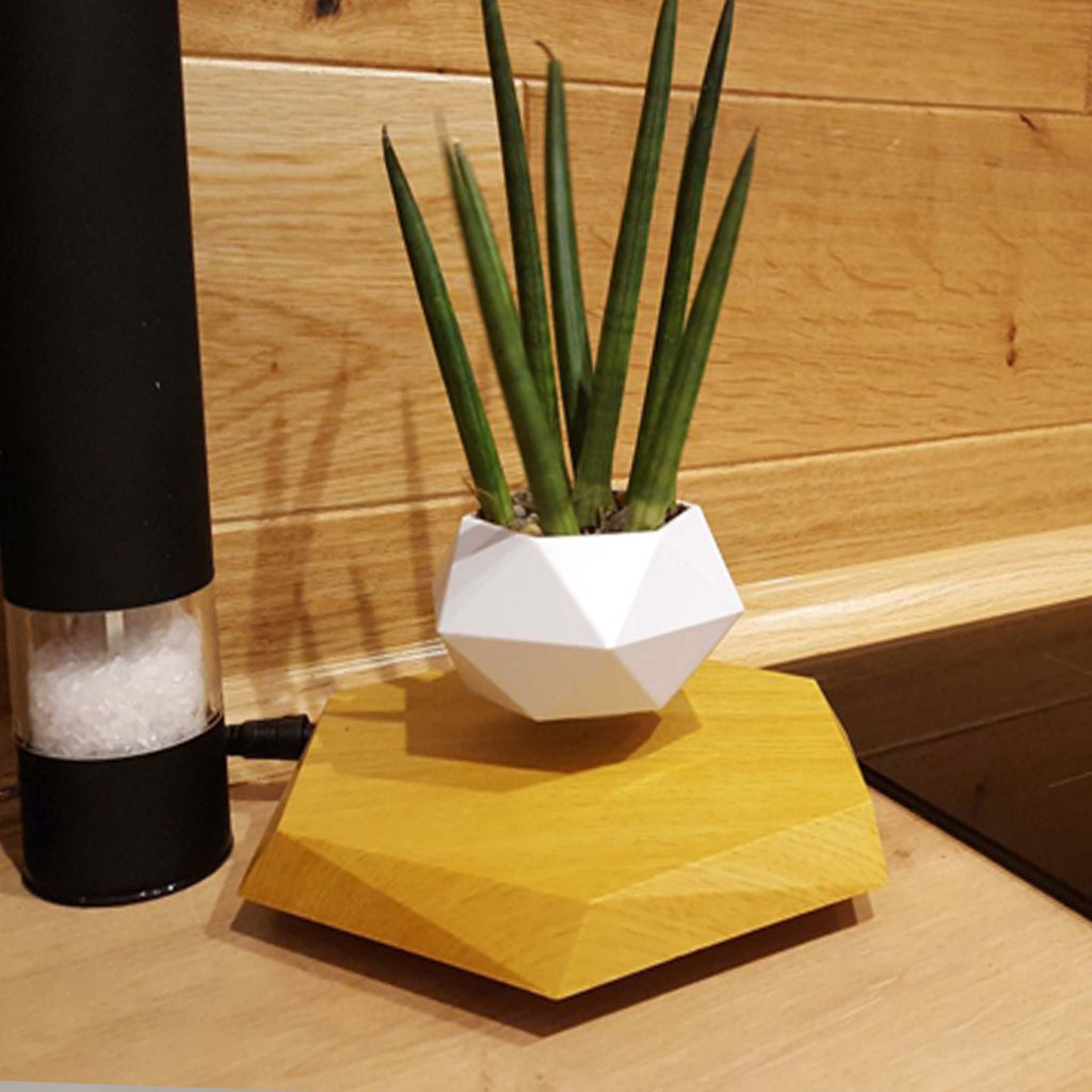 Floating Magnetic Levitating Flower Pot BapMagic